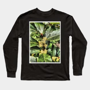 Bay Leaf Tree Blossom Long Sleeve T-Shirt